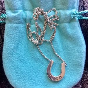 Tiffany's Horseshoe Necklace